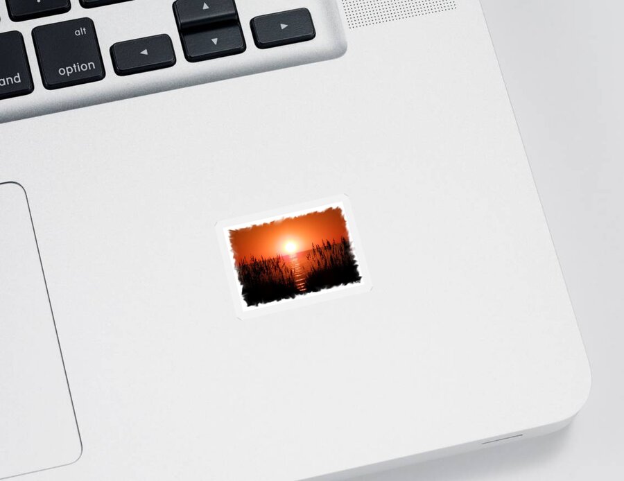 Sunrise Sticker featuring the photograph Deep Rise by Kim Galluzzo