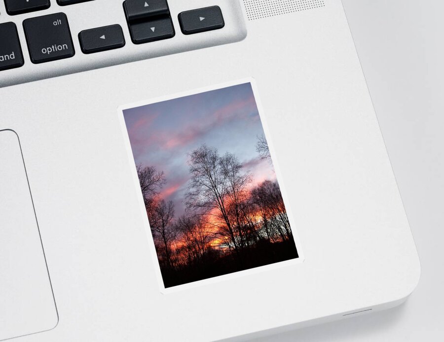 Sunset Sticker featuring the photograph Explosions Of Color by Kim Galluzzo