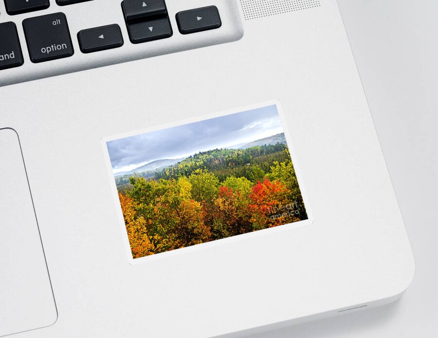 Autumn Sticker featuring the photograph Fall forest on rainy day by Elena Elisseeva
