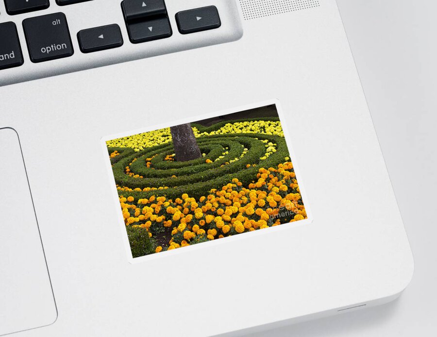 Boquete Sticker featuring the photograph Flower Bed by Heiko Koehrer-Wagner
