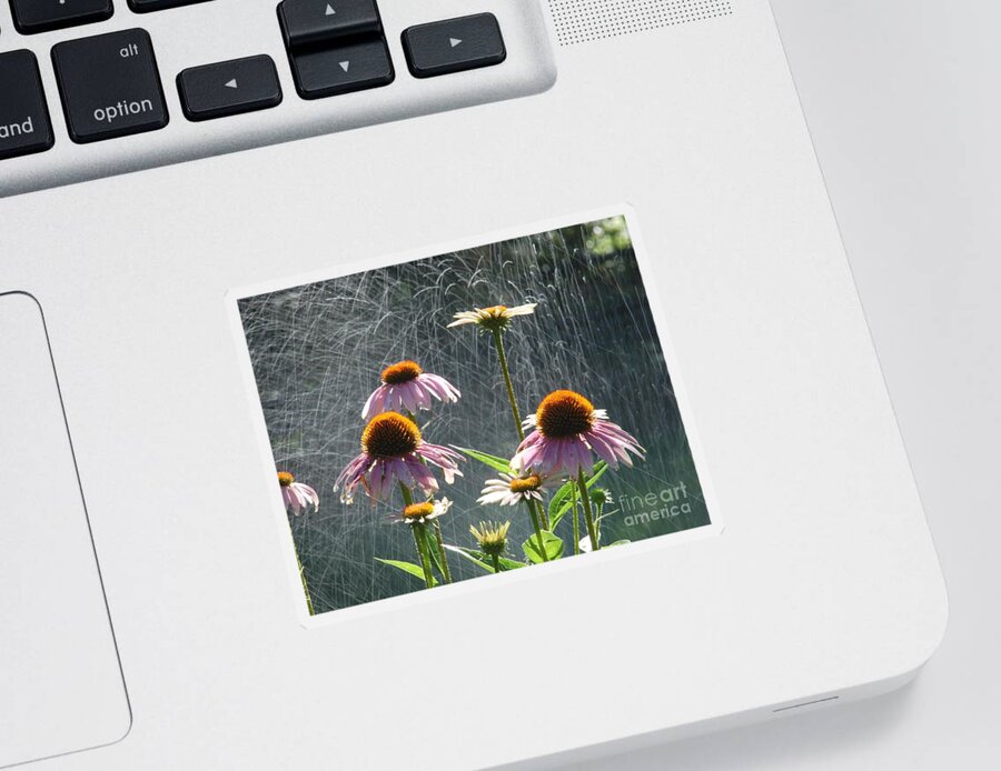 Echinacea Sticker featuring the photograph Flowers in the Rain by Randy J Heath