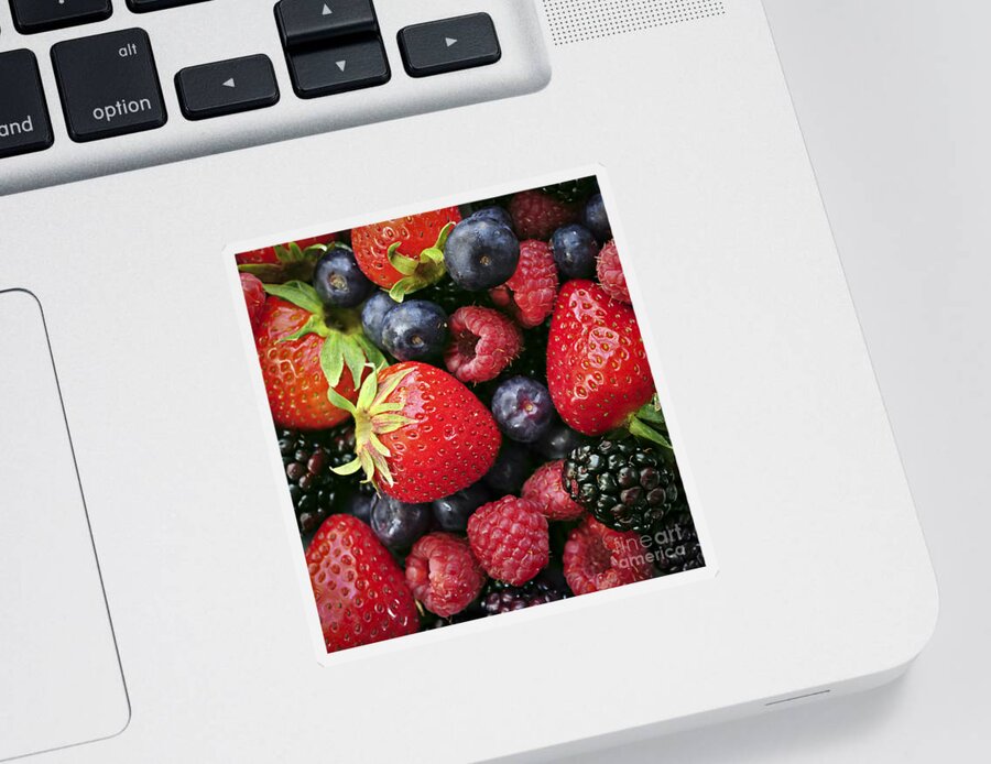 Berry Sticker featuring the photograph Fresh berries by Elena Elisseeva