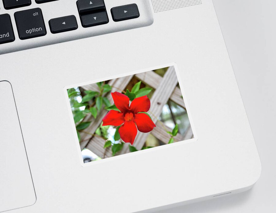 Flower Sticker featuring the photograph Front Porch by Shannon Harrington