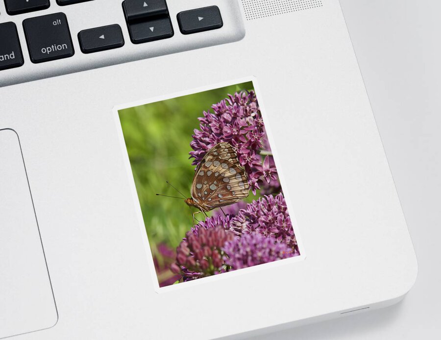 Marsh Sticker featuring the photograph Great Spangled Fritillary DIN194 by Gerry Gantt