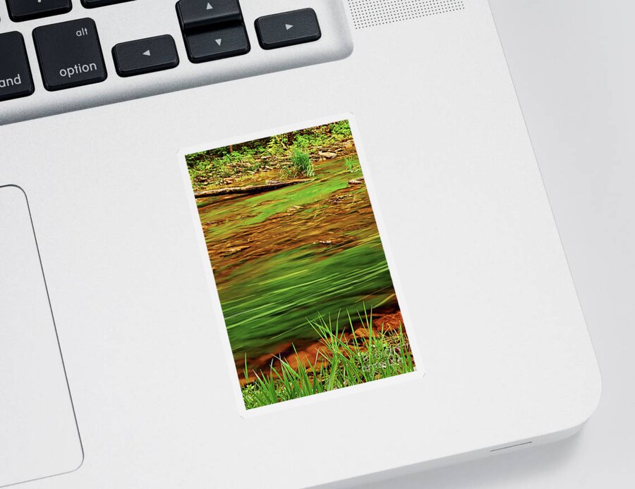 River Sticker featuring the photograph Green river by Elena Elisseeva