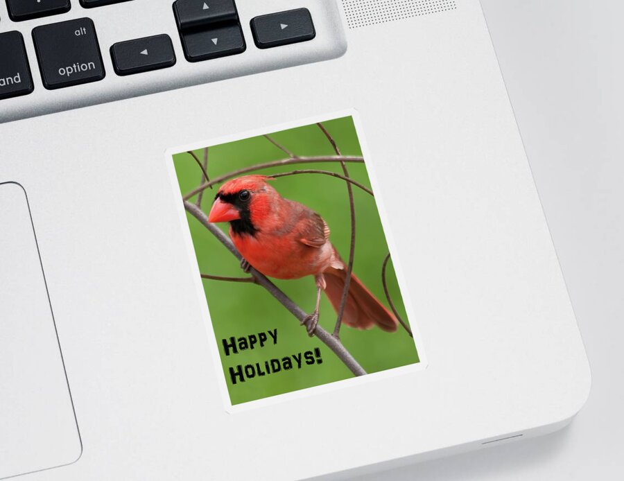 Hawaii Sticker featuring the photograph Happy Holidays by Dan McManus
