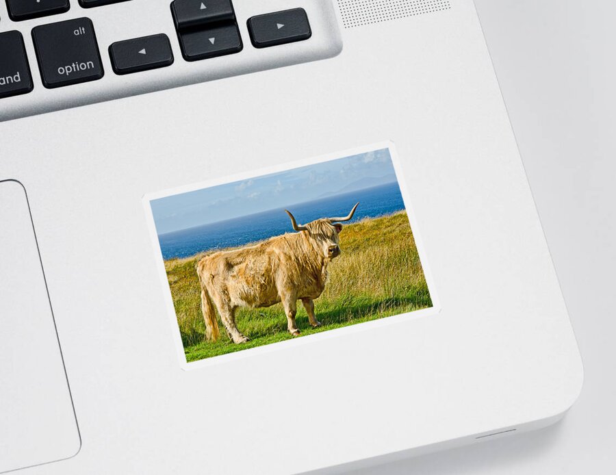 Highland Cow Sticker featuring the photograph Highland Cow by Chris Thaxter