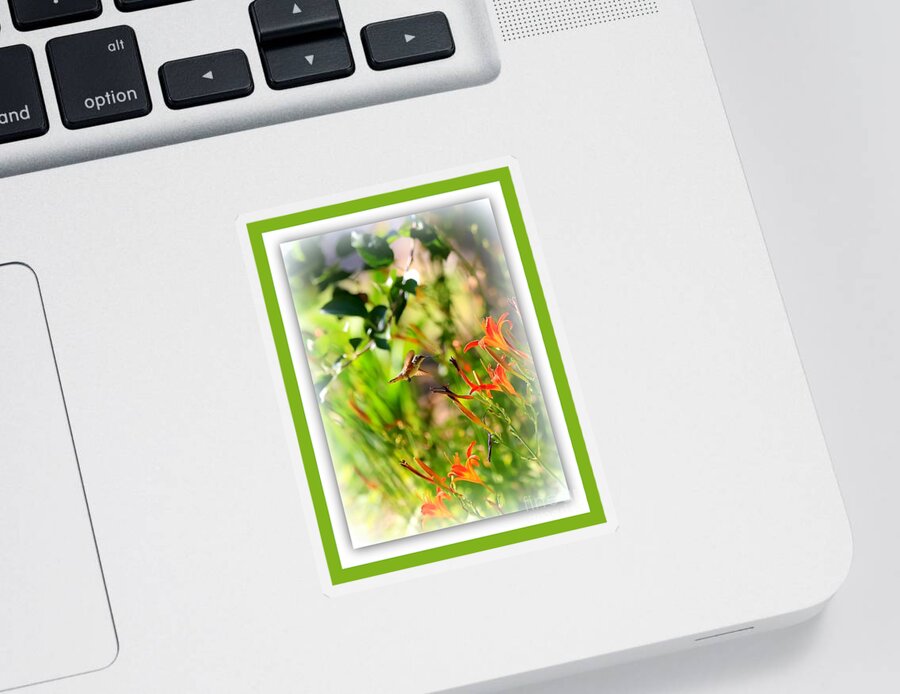 Hummingbird Sticker featuring the photograph Hummingbird in the Daylilies with Green Border by Carol Groenen