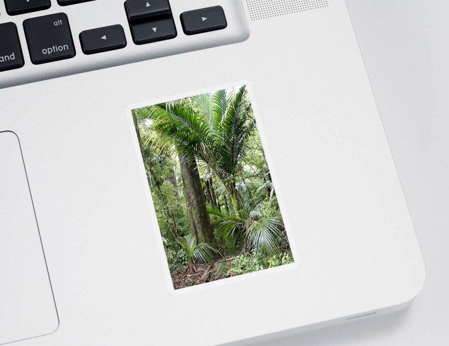 Trees Sticker featuring the photograph Jungle by Les Cunliffe