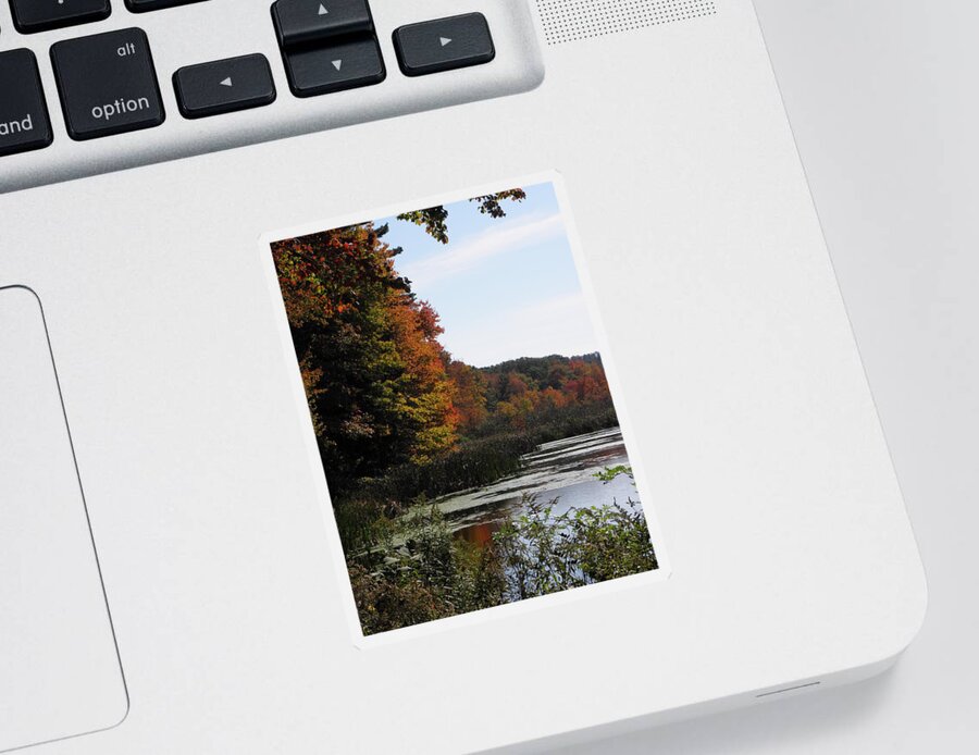 Autumn Sticker featuring the photograph Just simple Beauty by Kim Galluzzo