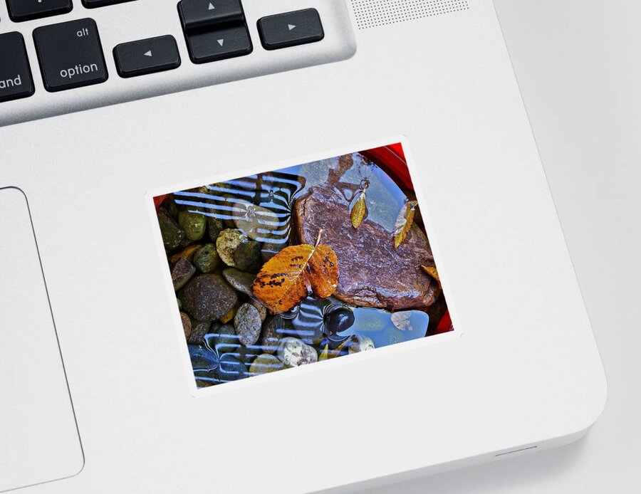 Leaves Sticker featuring the photograph Leaves Rocks Shadows by Bill Owen