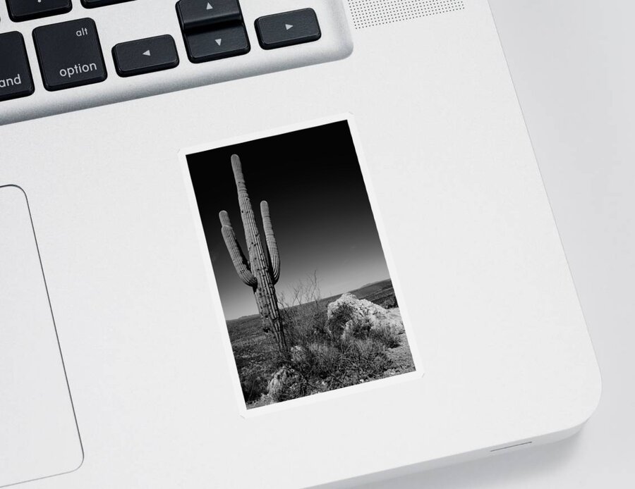 Lone Saguaro Sticker featuring the photograph Lone Saguaro by Chad Dutson