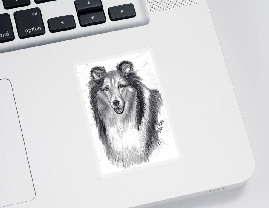 Collie Sticker featuring the drawing Looks Like Lassie by Julie Brugh Riffey