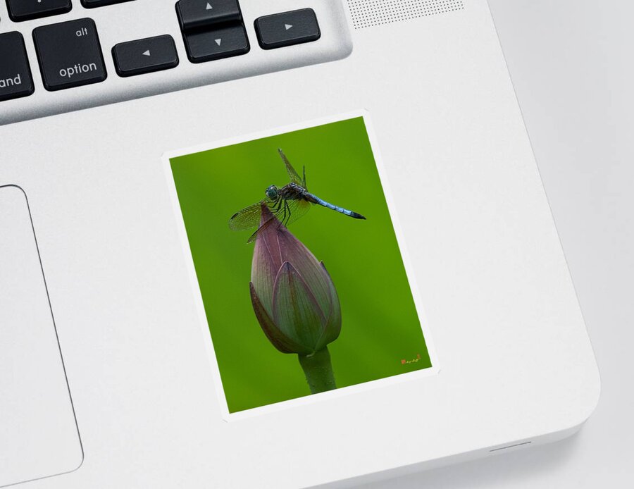 Nature Sticker featuring the photograph Lotus Bud and Blue Dasher Dragonfly DL007 by Gerry Gantt