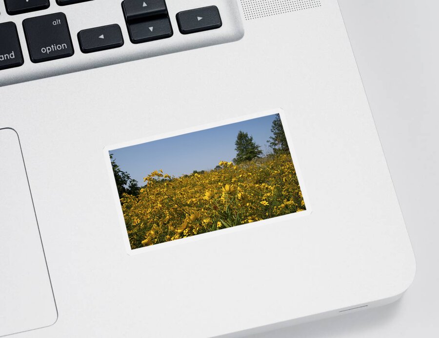Landscape Sticker featuring the photograph Meadow at Terapin Park by Charles Kraus