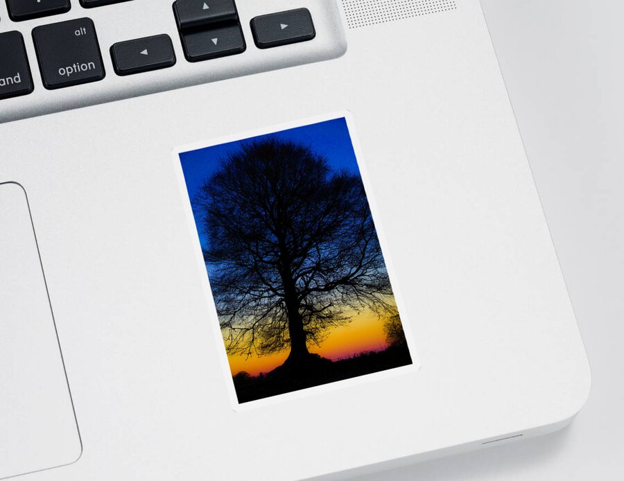 Tree Sticker featuring the photograph Midnight Calm by Rob Hemphill