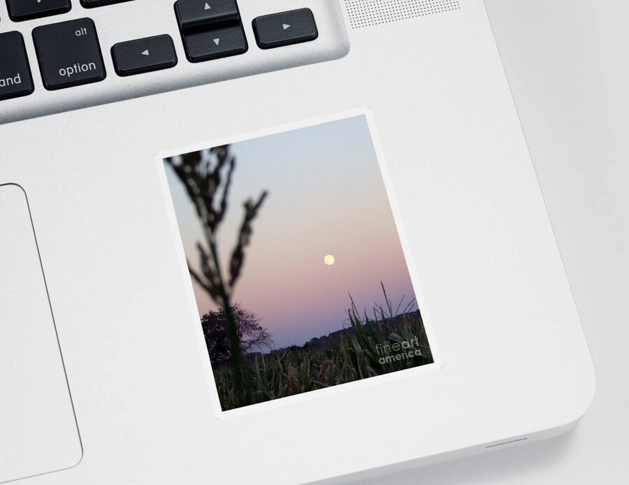 Moon Sticker featuring the photograph Moon by Andrea Anderegg
