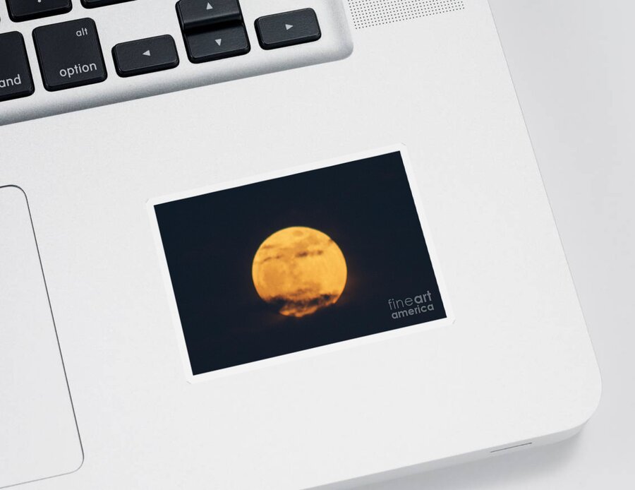  Sticker featuring the photograph Moon by William Norton