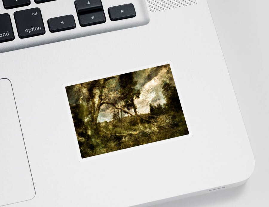 Yosemite Sticker featuring the photograph Nature's Heart by Bonnie Bruno