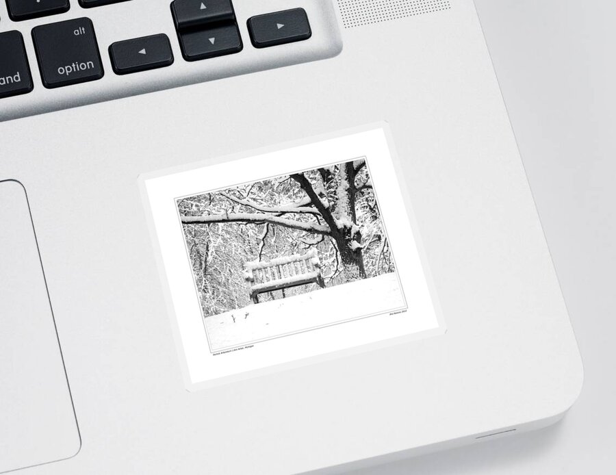 Snow Sticker featuring the photograph Nichols Arboretum #3 by Phil Perkins