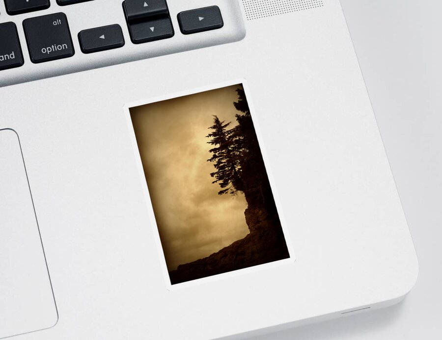 Tree Sticker featuring the photograph On the Edge of the Bluff by Marilyn Wilson