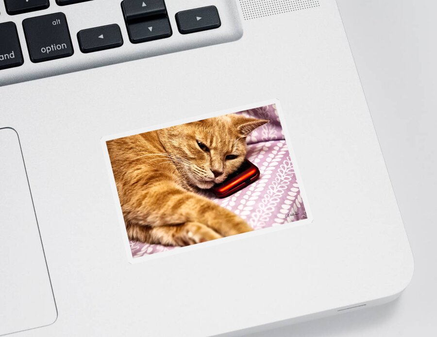 Pet Sticker featuring the photograph On The Phone by Christopher Holmes