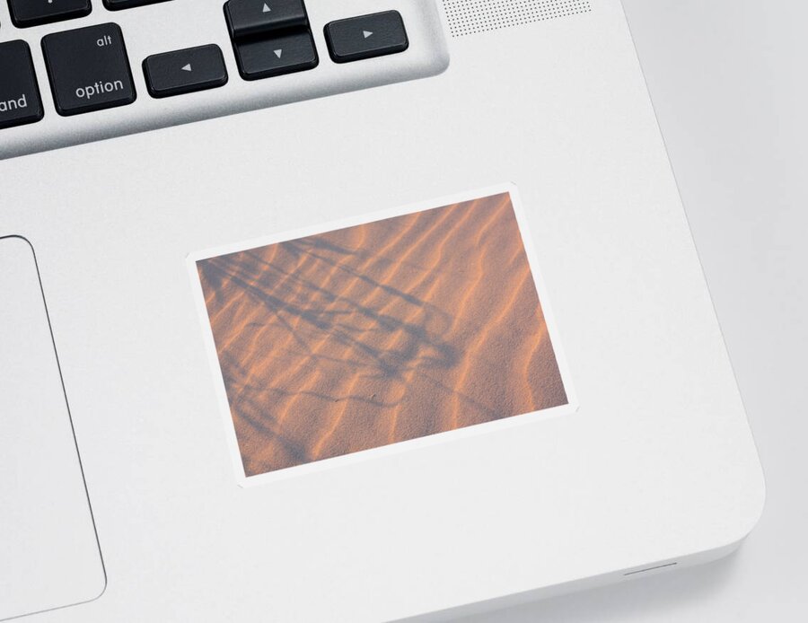 Sand Sticker featuring the photograph Pink Ripple Reflections by Kim Galluzzo