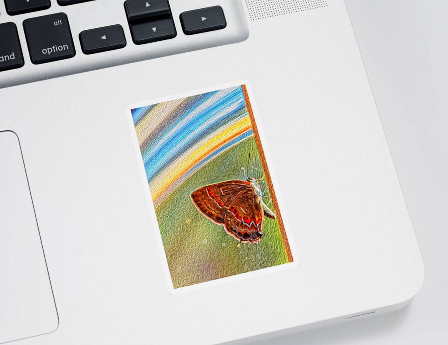 Butterfly Sticker featuring the photograph Playroom Butterfly by Bill and Linda Tiepelman