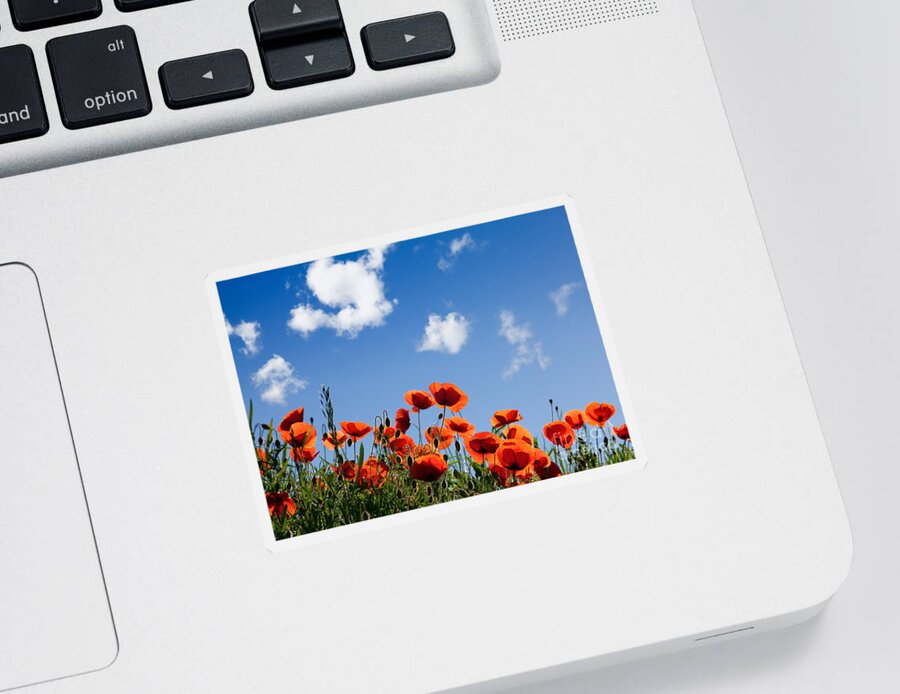 Poppy Sticker featuring the photograph Poppy Flowers 05 by Nailia Schwarz