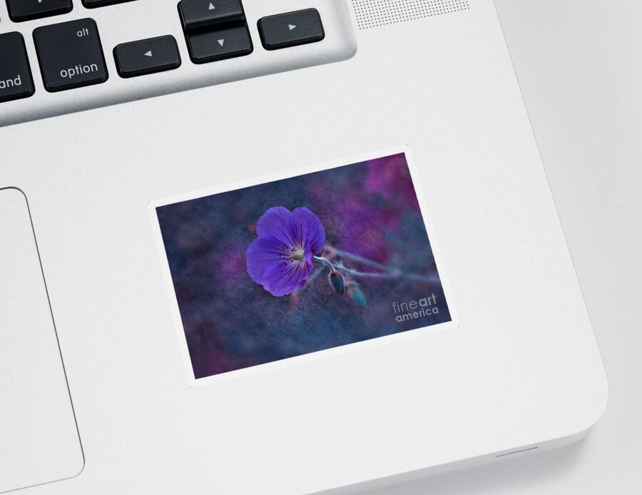 Flower Sticker featuring the photograph Purple Wildflower by Elaine Manley