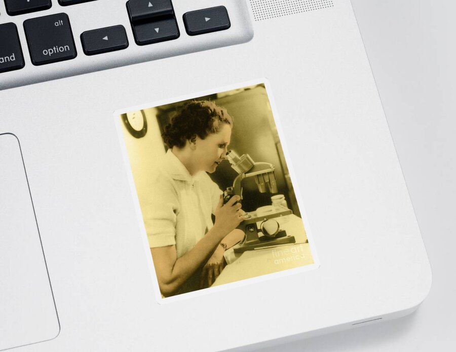 Rachel Louise Carson Sticker featuring the photograph Rachel Carson, American Marine Biologist by Science Source