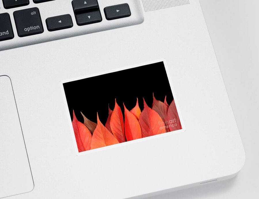 Flames Sticker featuring the photograph Red autumn leaves on edge by Simon Bratt