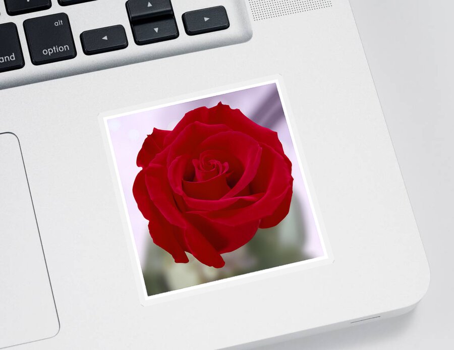 Red Rose Sticker featuring the photograph Red Rose by Mike McGlothlen