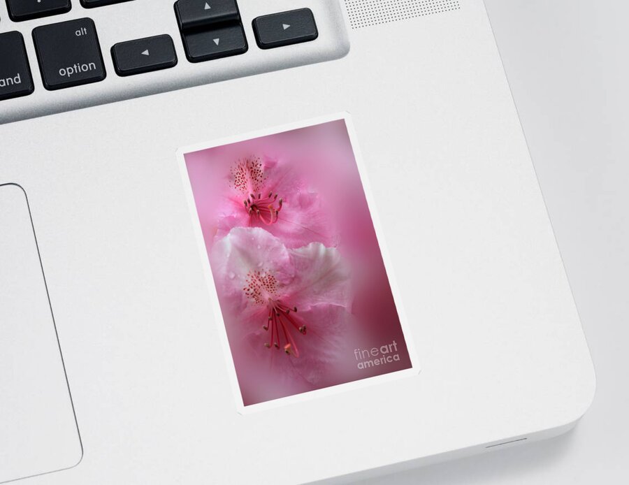 Rhododendron Sticker featuring the photograph Rhododendron Dreams by James Eddy