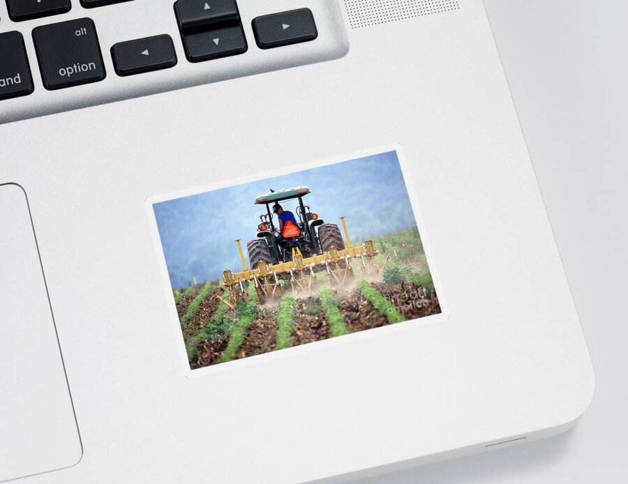 Farm Sticker featuring the photograph Ridge Tilling by Photo Researchers