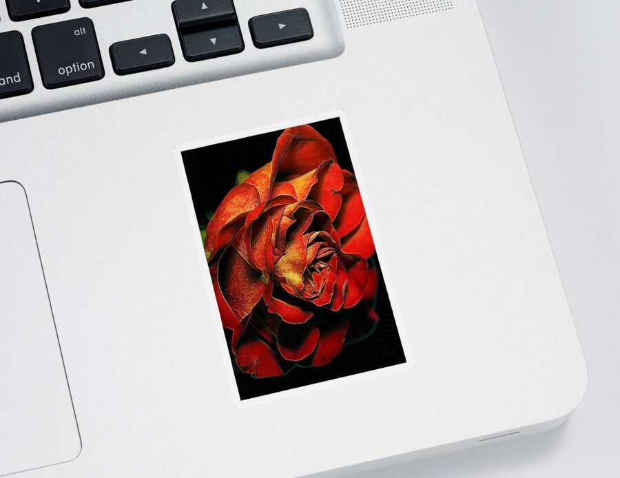 Red Rose Sticker featuring the photograph Rosey Hues by Bill and Linda Tiepelman