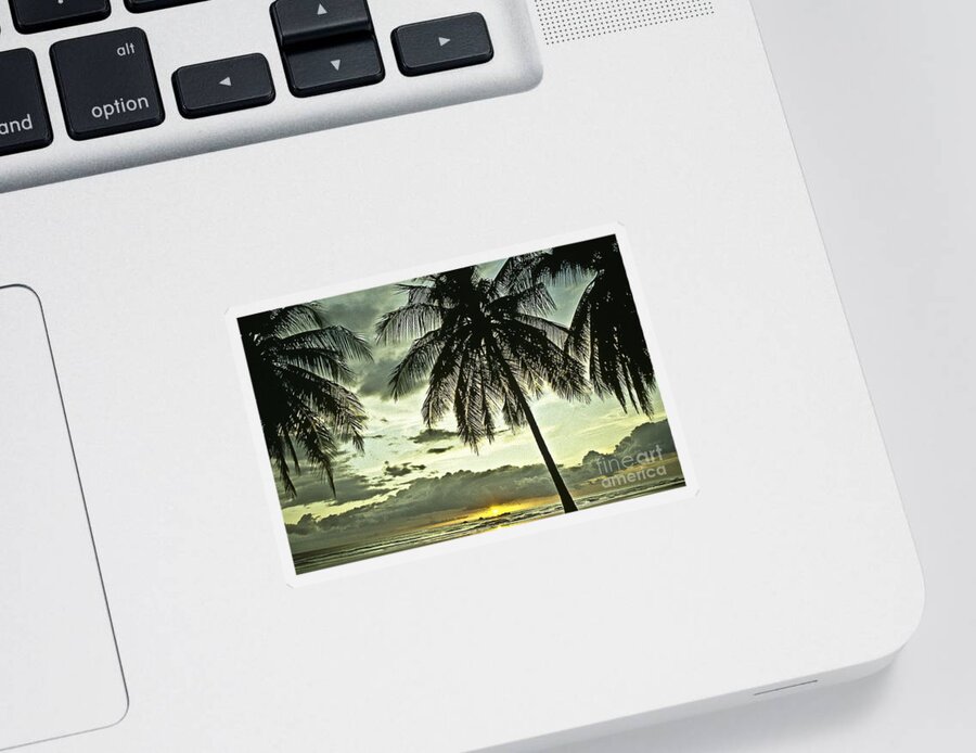 Landscape Sticker featuring the photograph Scenic evening by Heiko Koehrer-Wagner
