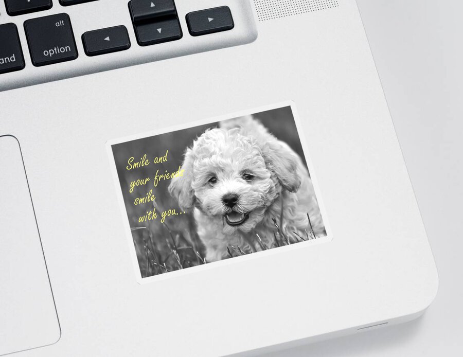 Lisa Difruscio Sticker featuring the photograph Smile and Your Friends Smile With You by Guy Whiteley