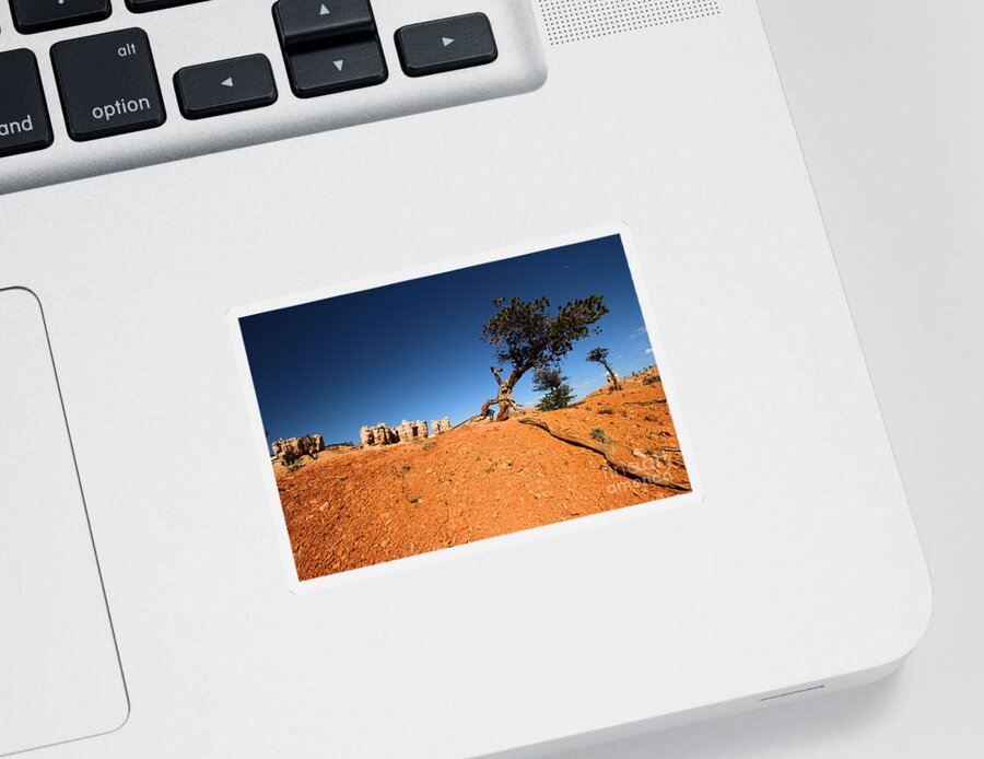 Bryce Canyon National Park Sticker featuring the photograph Stretch by Adam Jewell