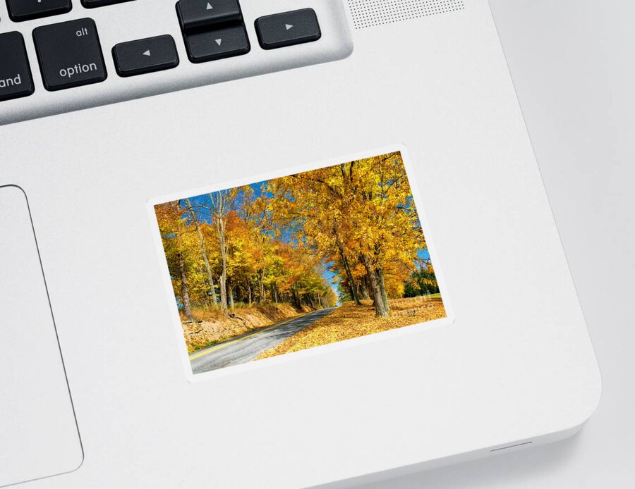 Autumn Sticker featuring the photograph Sunny Country Road by Lois Bryan