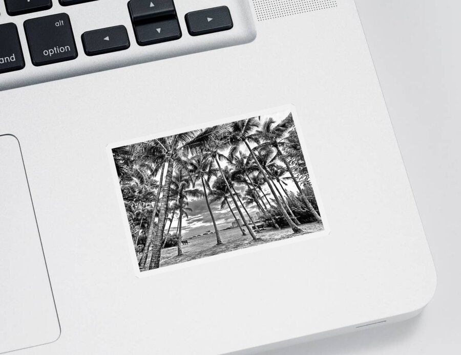 Boats Sticker featuring the photograph Sunset Grove at Palm Beach by Debra and Dave Vanderlaan