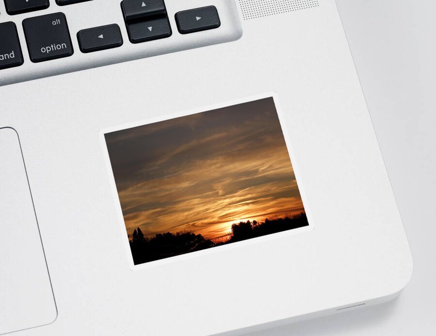 Sundown Sticker featuring the photograph Sunset in December by Kim Galluzzo
