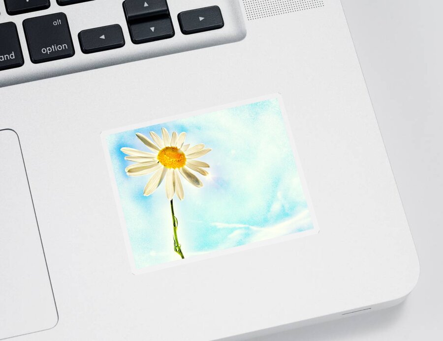 Daisy Sticker featuring the photograph Sunshine by Marianna Mills