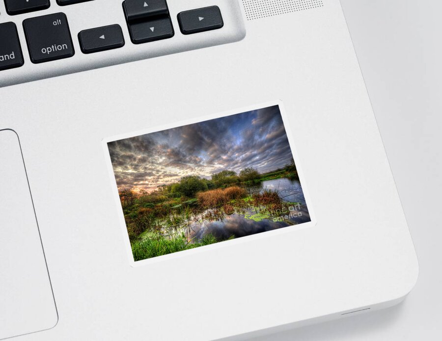 Hdr Sticker featuring the photograph Swampy by Yhun Suarez