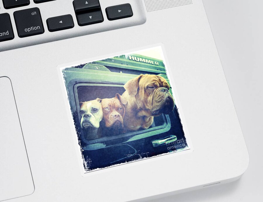 Dog Sticker featuring the photograph The Dog Taxi Is A Hummer by Nina Prommer