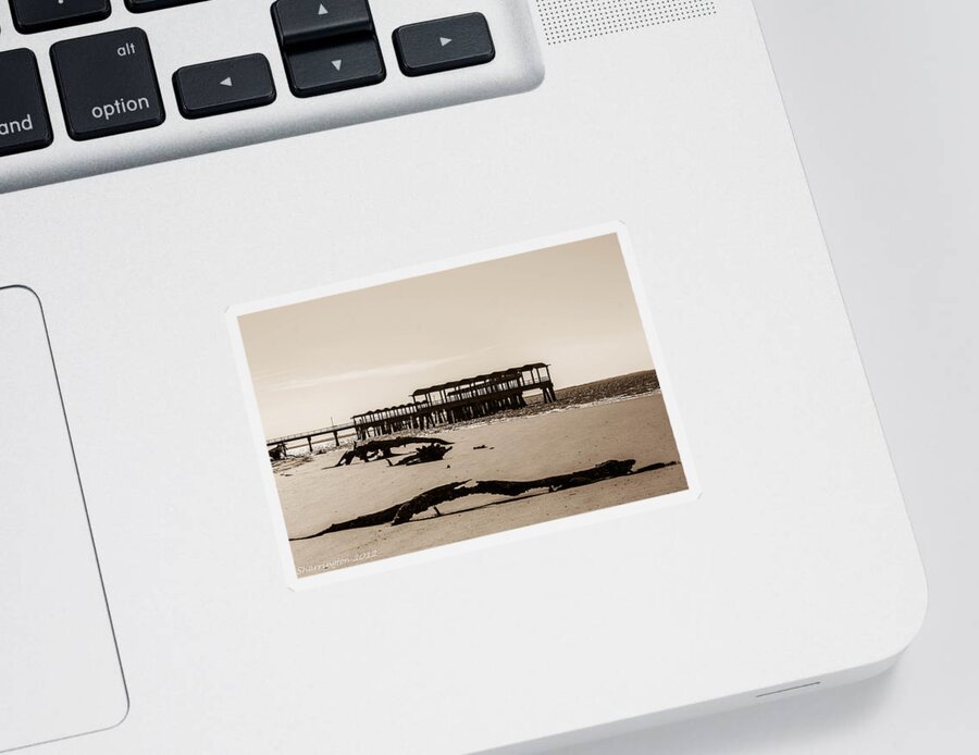 Landscapes Sticker featuring the photograph The Pier by Shannon Harrington