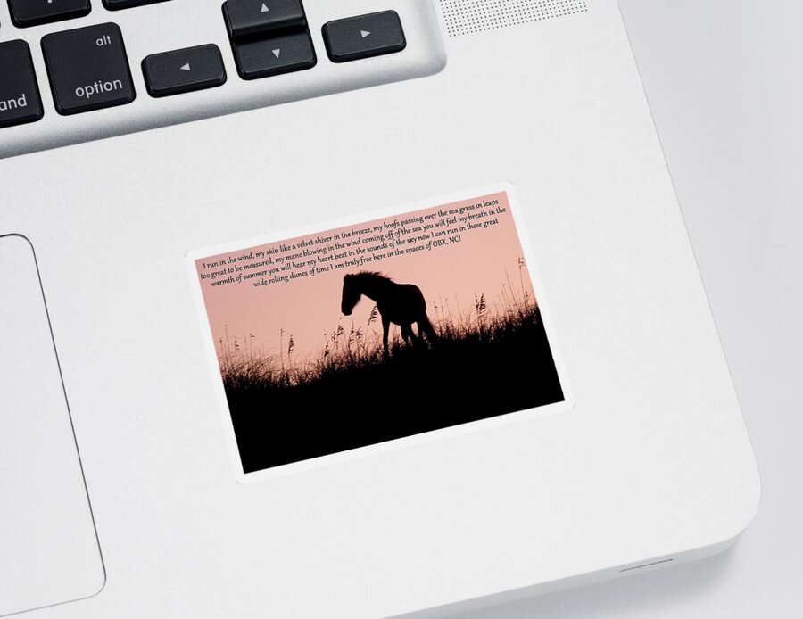 Wild Sticker featuring the photograph The words of a Wild Filly by Kim Galluzzo