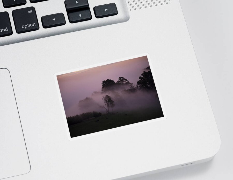 Landscapes Sticker featuring the photograph Through The Mist by Lee Stickels