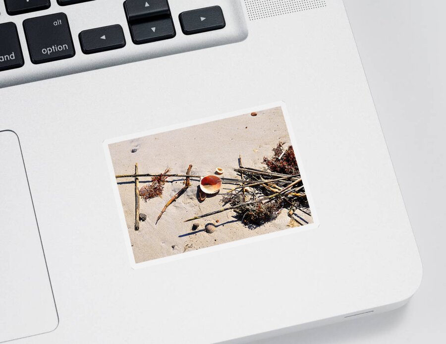 Beach Shells Sticker featuring the photograph Tidal Treasures by Al Powell Photography USA