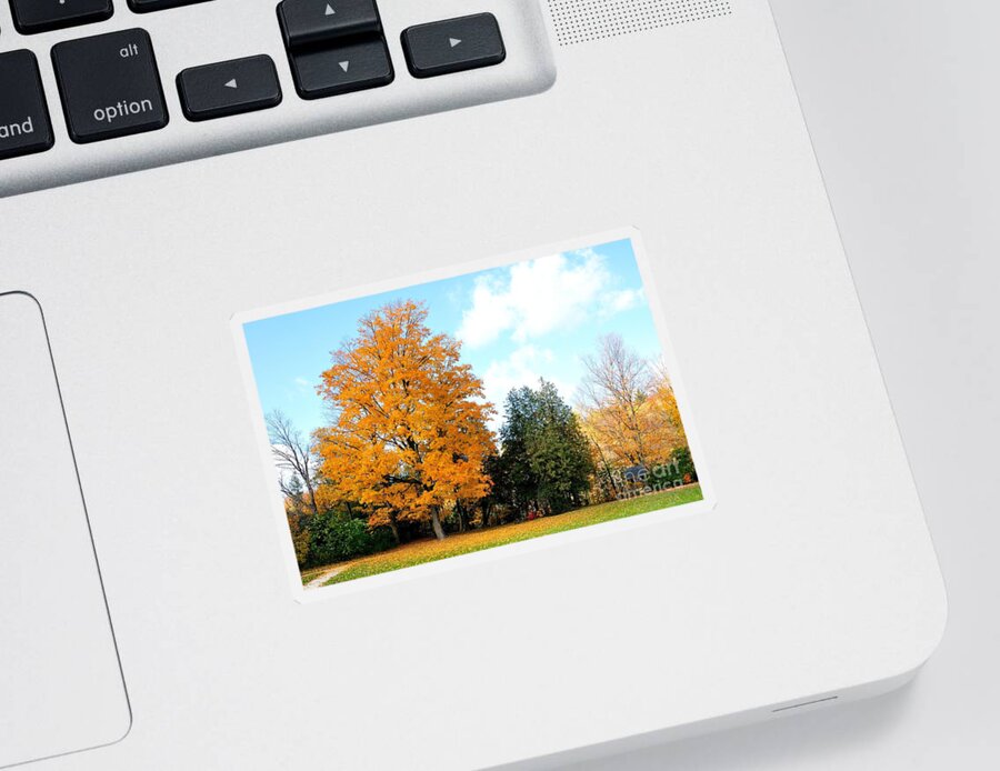 Cover Sticker featuring the photograph Tree of Gold by Joe Ng